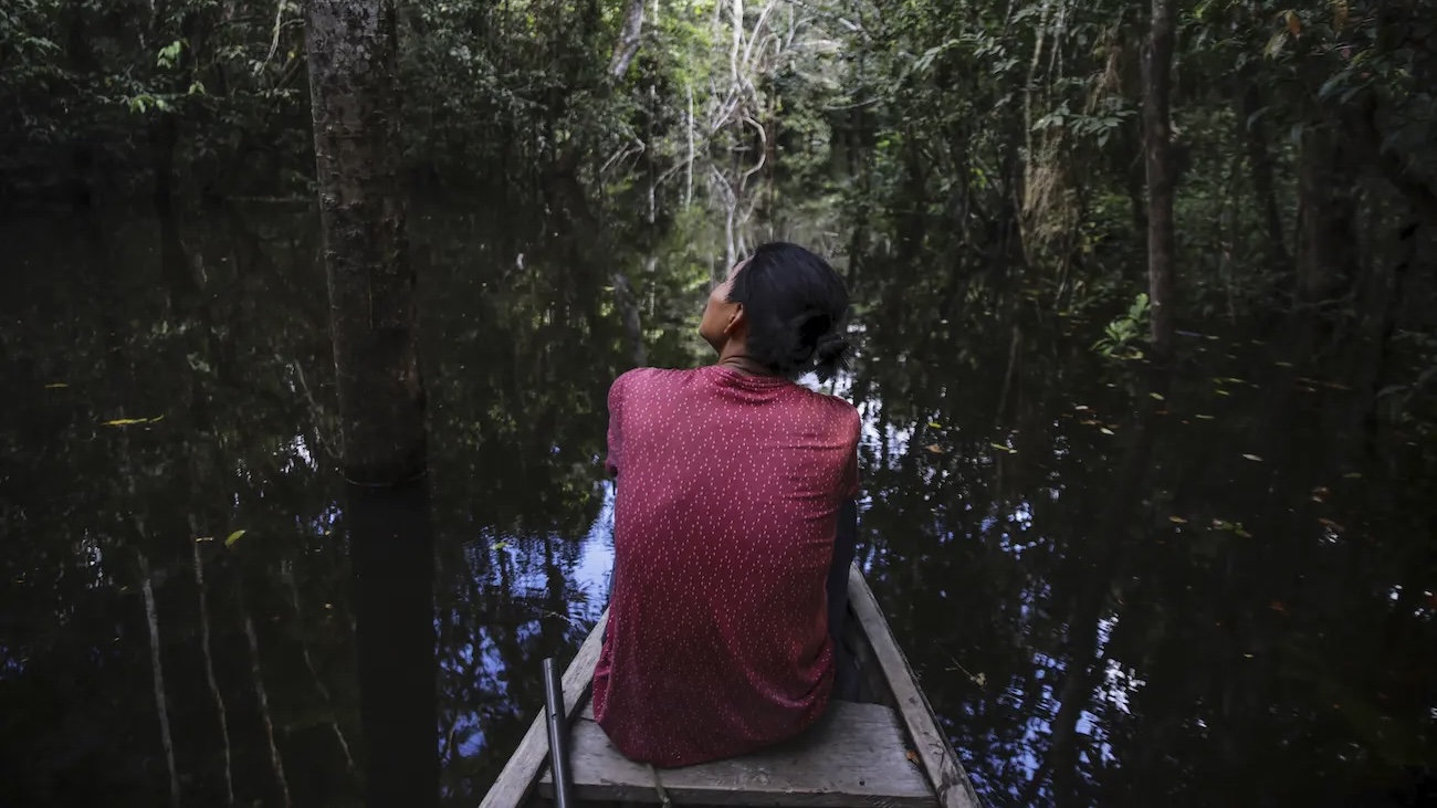 EU Postpones Anti-Deforestation Trade Rules Amid Developing Nations' Concerns