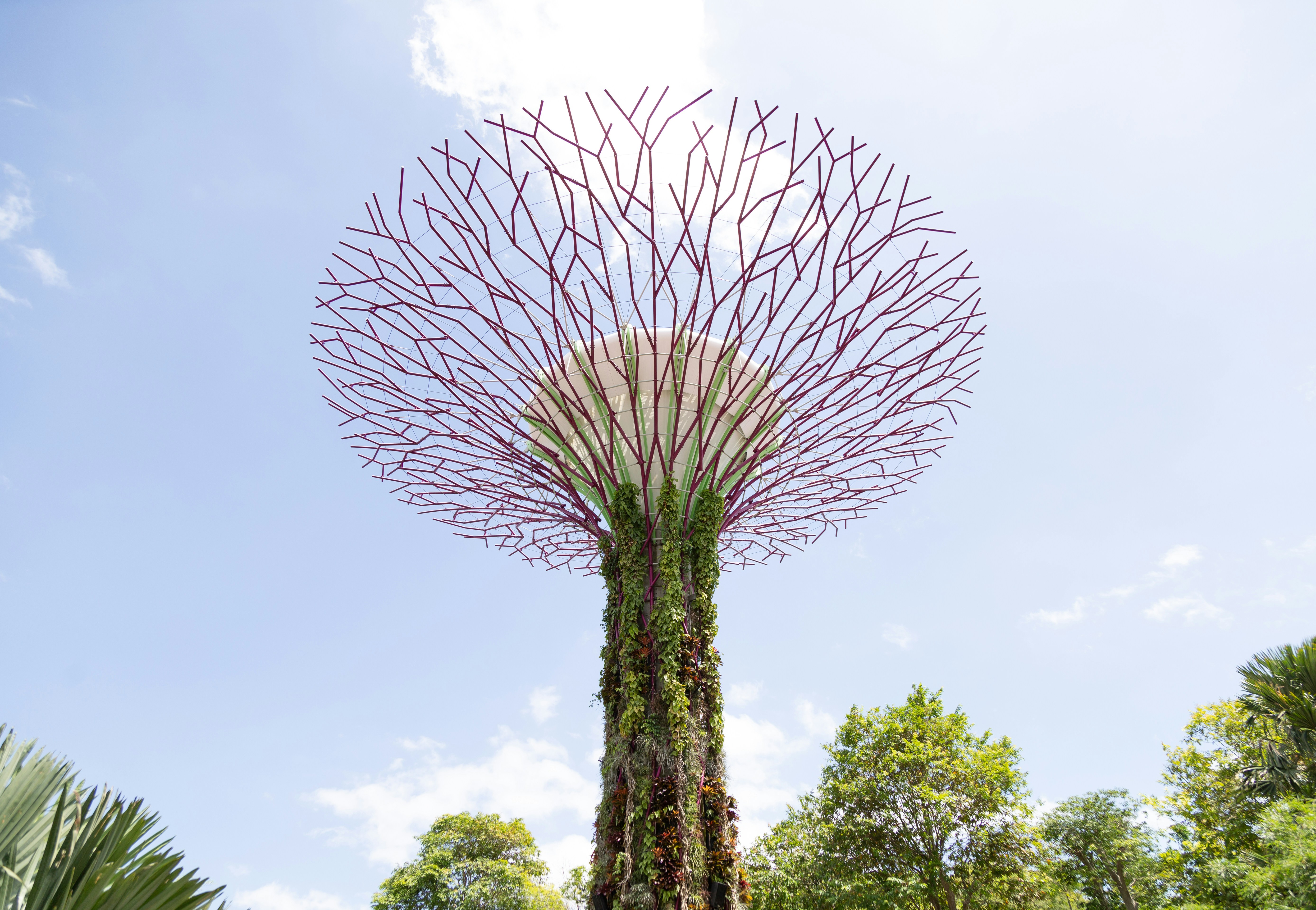 INSIGHTS | Navigating the ESG Landscape in 2024 &#8211; Unveiling Ten Pivotal Trends