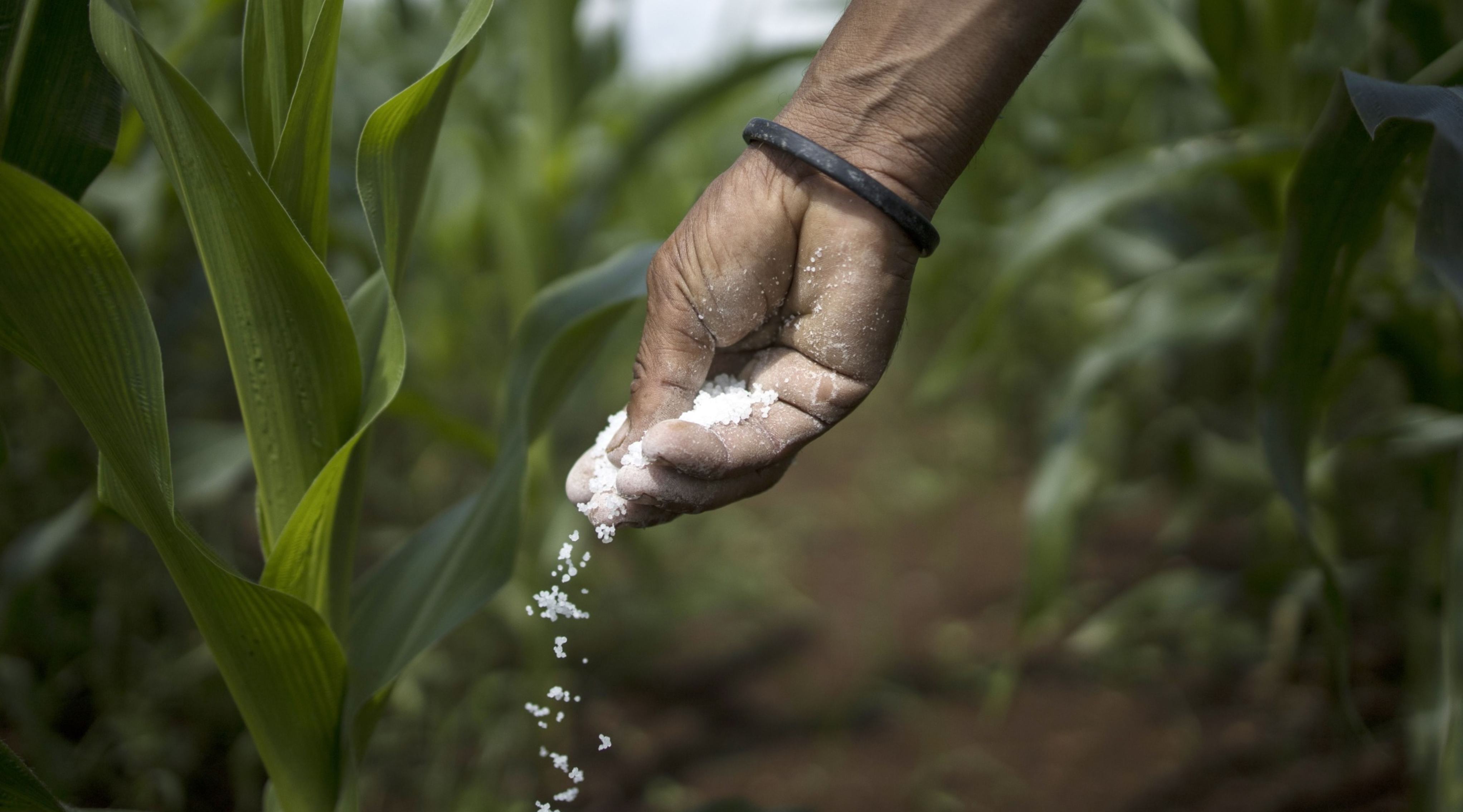 ISSB Initiates Research on Nature and Human Capital Disclosures