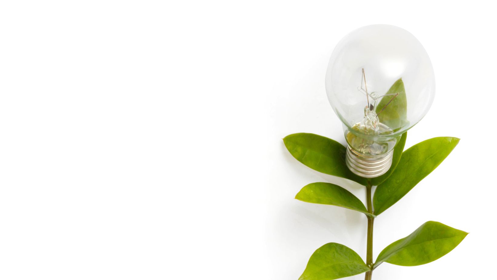 The Role of Impact Valuation in Complying with New Sustainability Reporting Guidelines