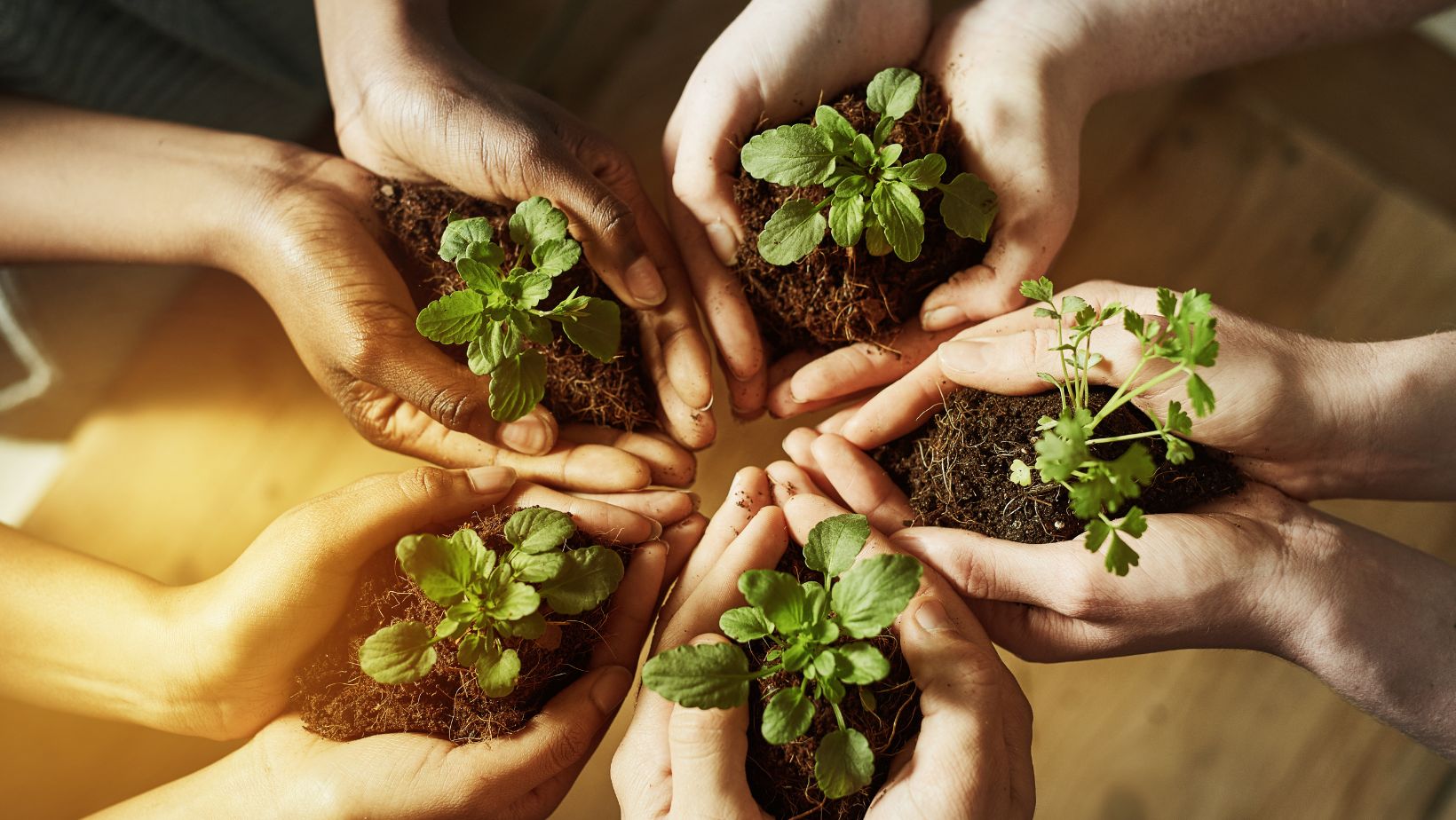 Understanding TCFD: A Comprehensive Guide