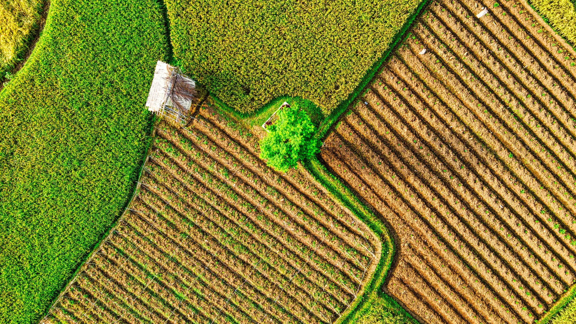 Exploring the Eleven Key Disclosures Recommended by the TCFD Framework