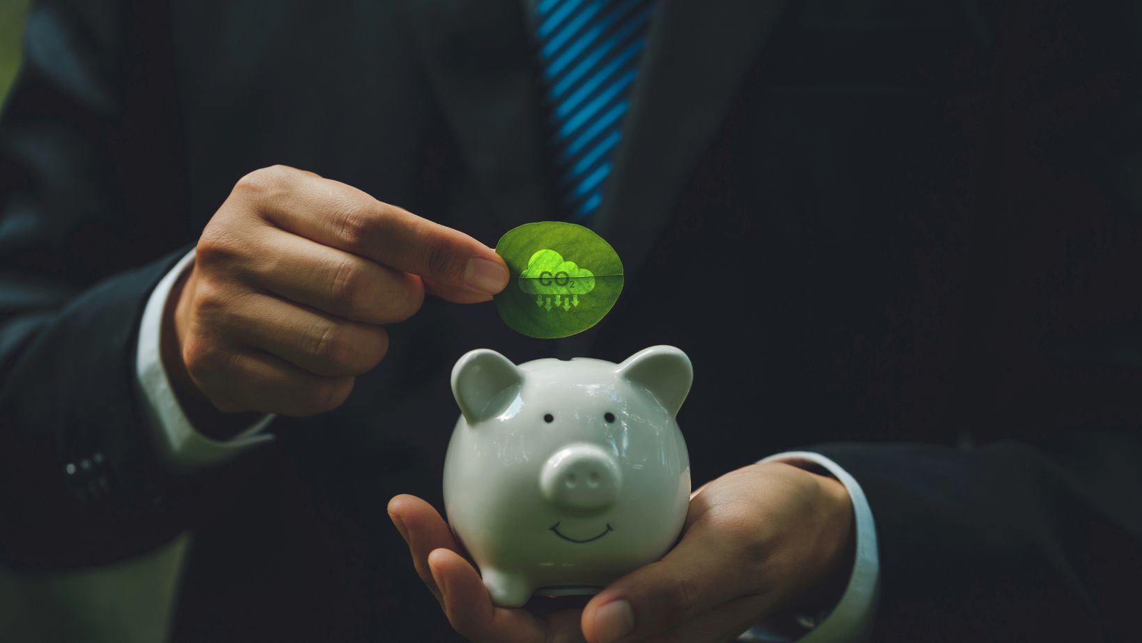 Navigating SFDR: A Guide to ESG Reporting for Investors