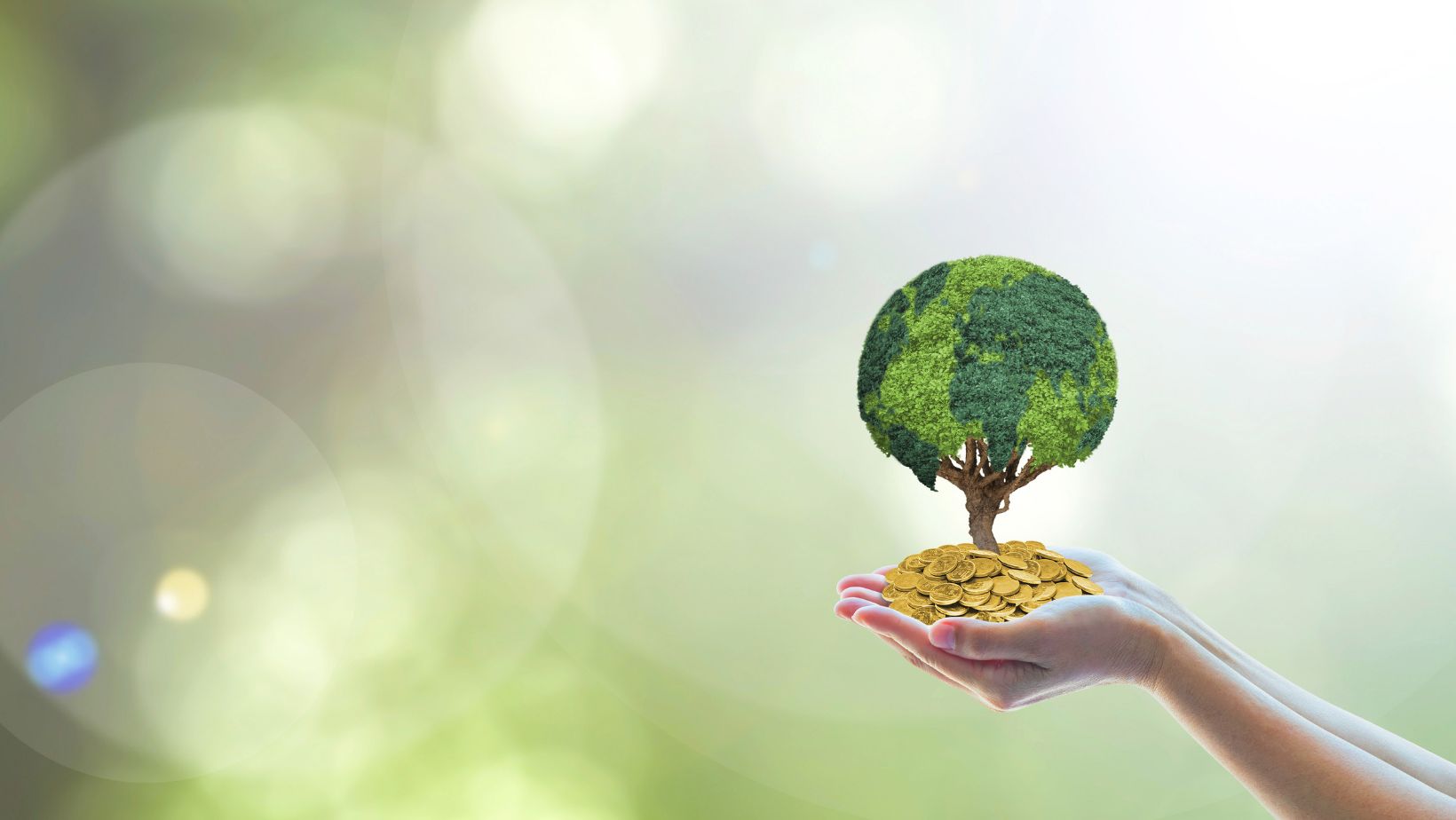 Novata Announces New Investment to Expand its Sustainability Strategy