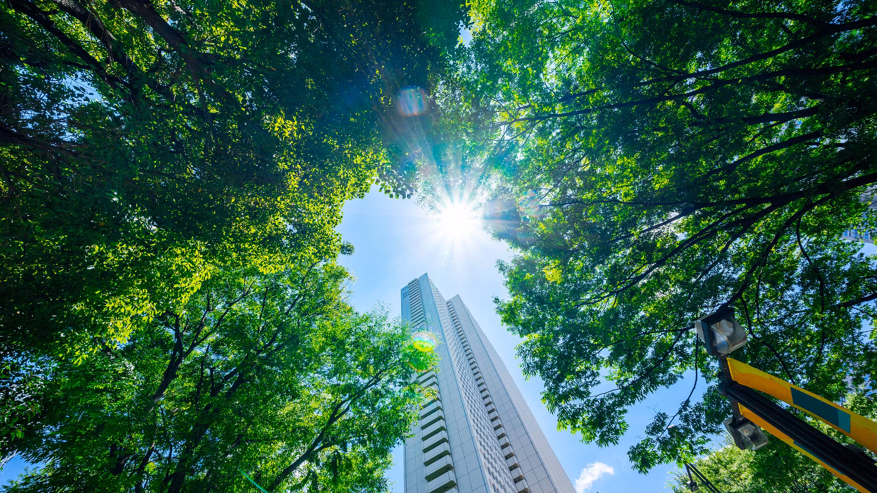 Pioneering Business-Nature Strategies Published to Guide Companies on Materiality Assessment and ESG Initiatives