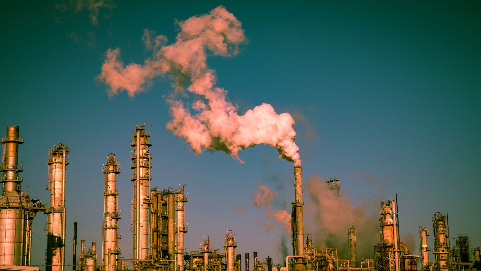 SBTi Proposes Stricter Guidelines for Carbon Offsets, Aiming for More Genuine Climate Commitments