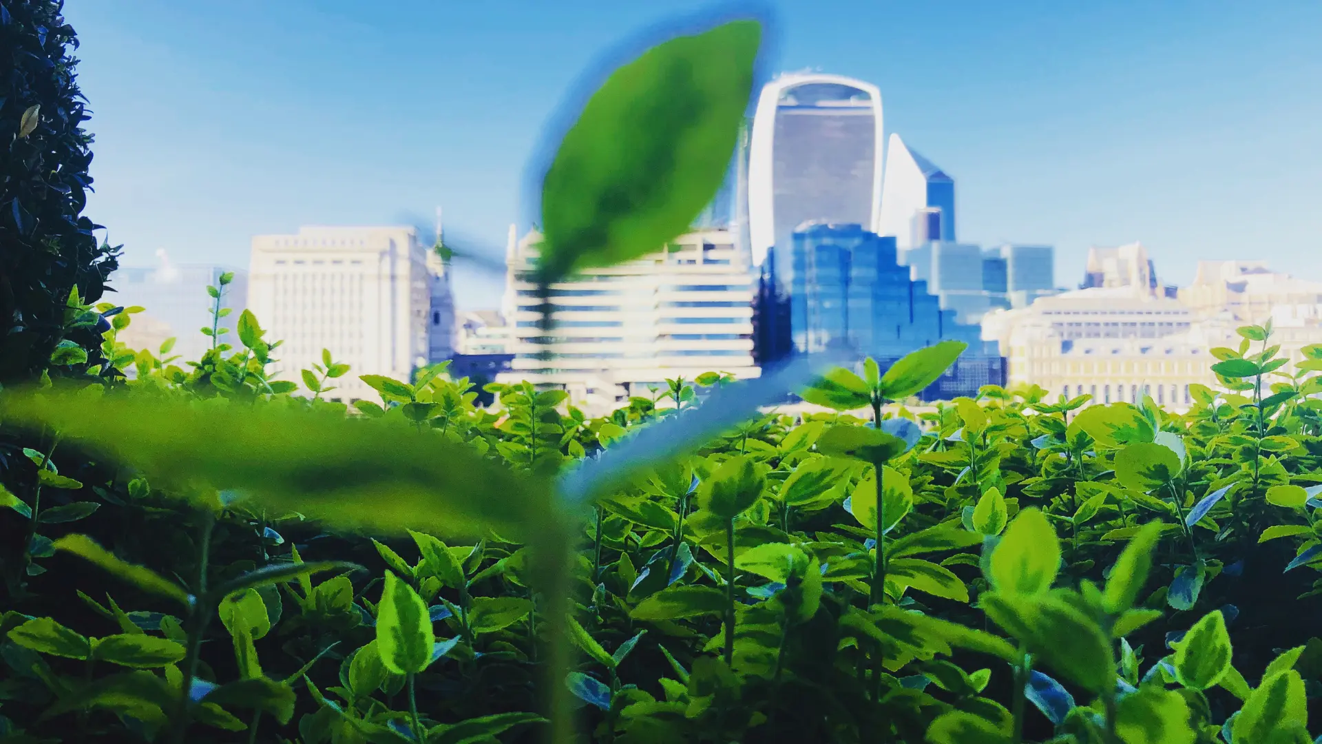 Verco Named Sponsor for ESG Investor of the Year Award at UK Green Business Awards 2024