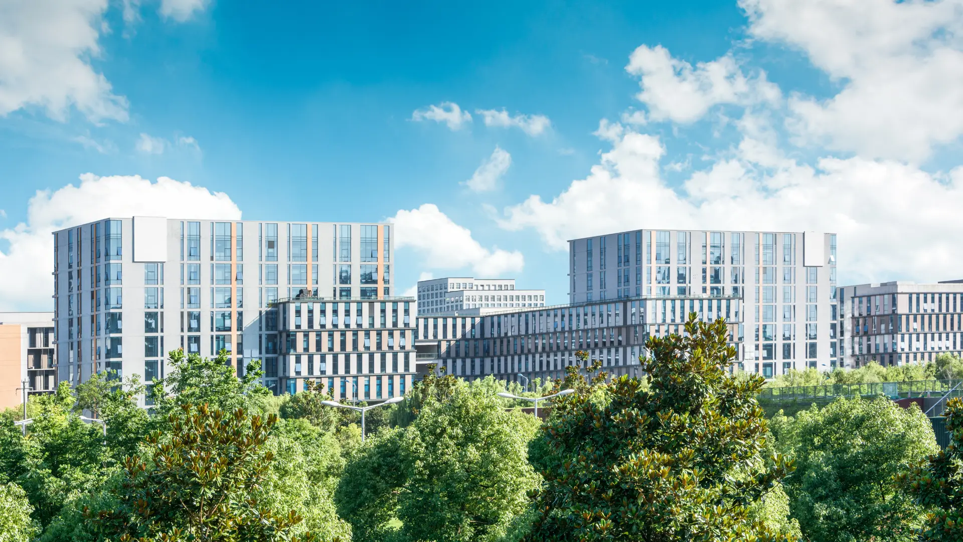 ISSB, IFRS S1, And IFRS S2: How Do These Standards Affect Your Business?