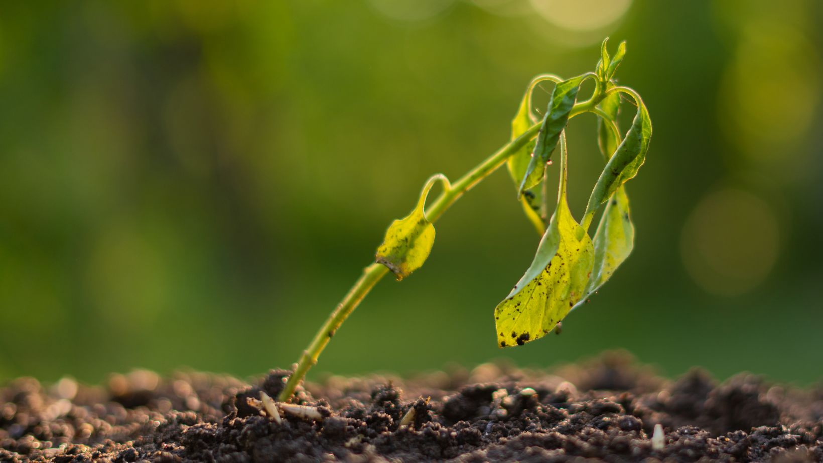 ST Telemedia Global Data Centres Unveils 2023 ESG Report, Surpasses Key Interim Environmental Targets Ahead of Schedule