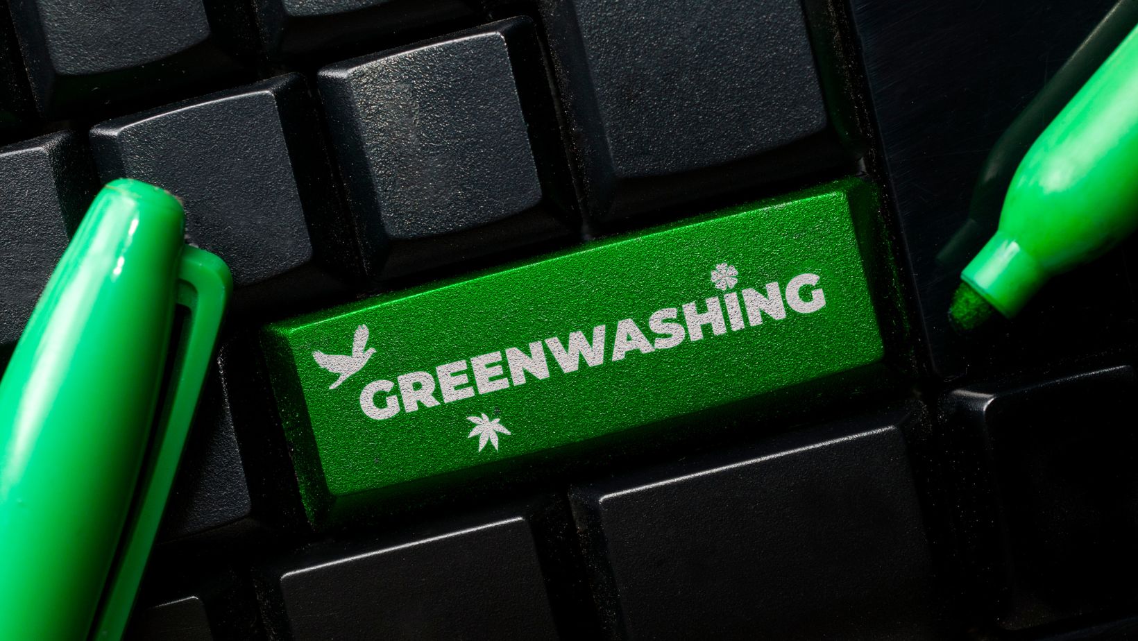 What Is Greenwashing ?