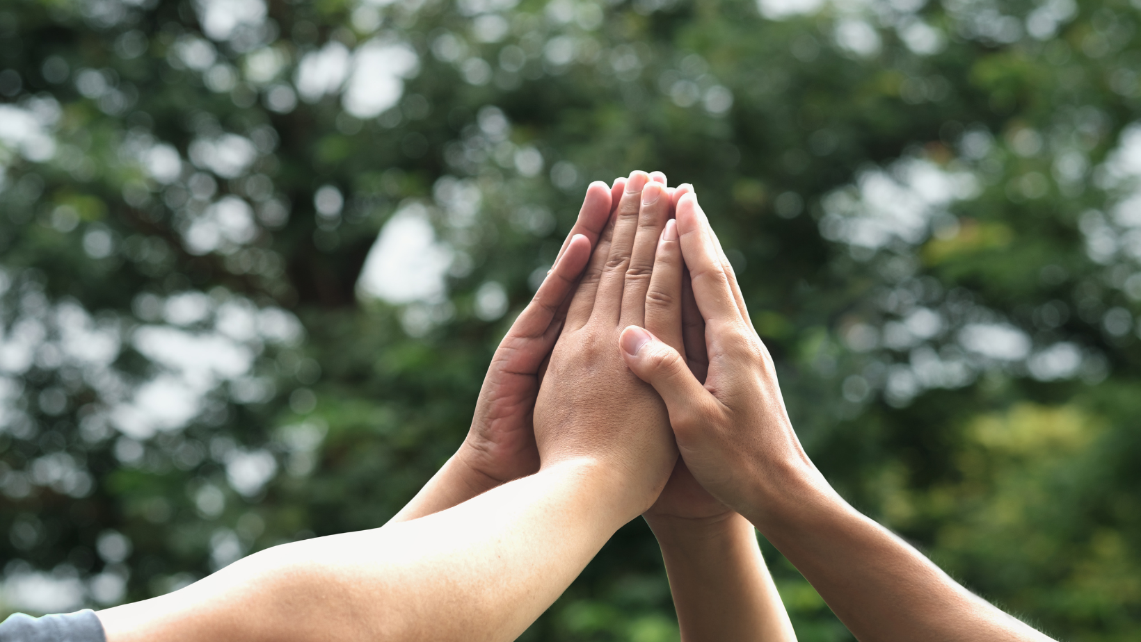 IFRS Foundation Releases Jurisdictional Guide at IOSCO Annual Meeting to Support Regulators