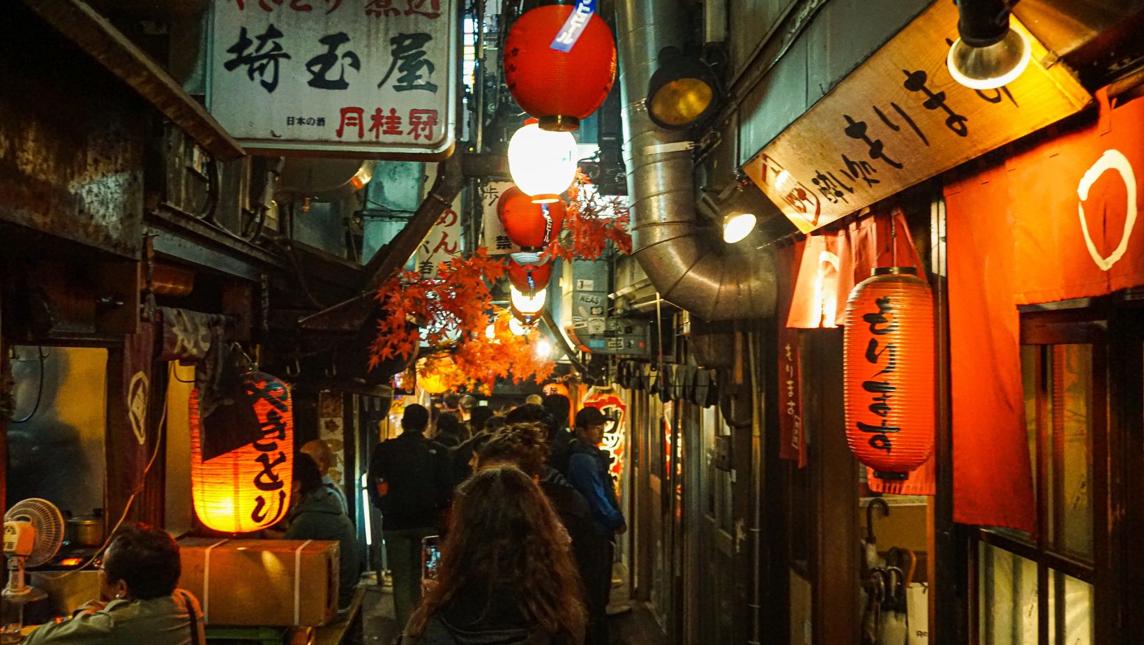 Japan Launches USD 11 Billion Climate Transition Bond to Fund Green Transformation