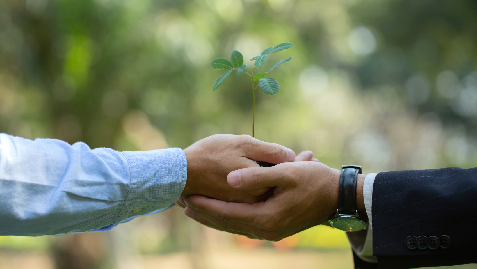 New CDP Disclosure Platform Enhances ESG Reporting Efficiency