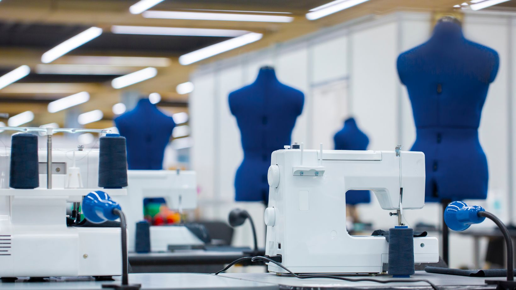 Embracing Econogy: How Sustainability Strategy is Transforming the Fashion Industry