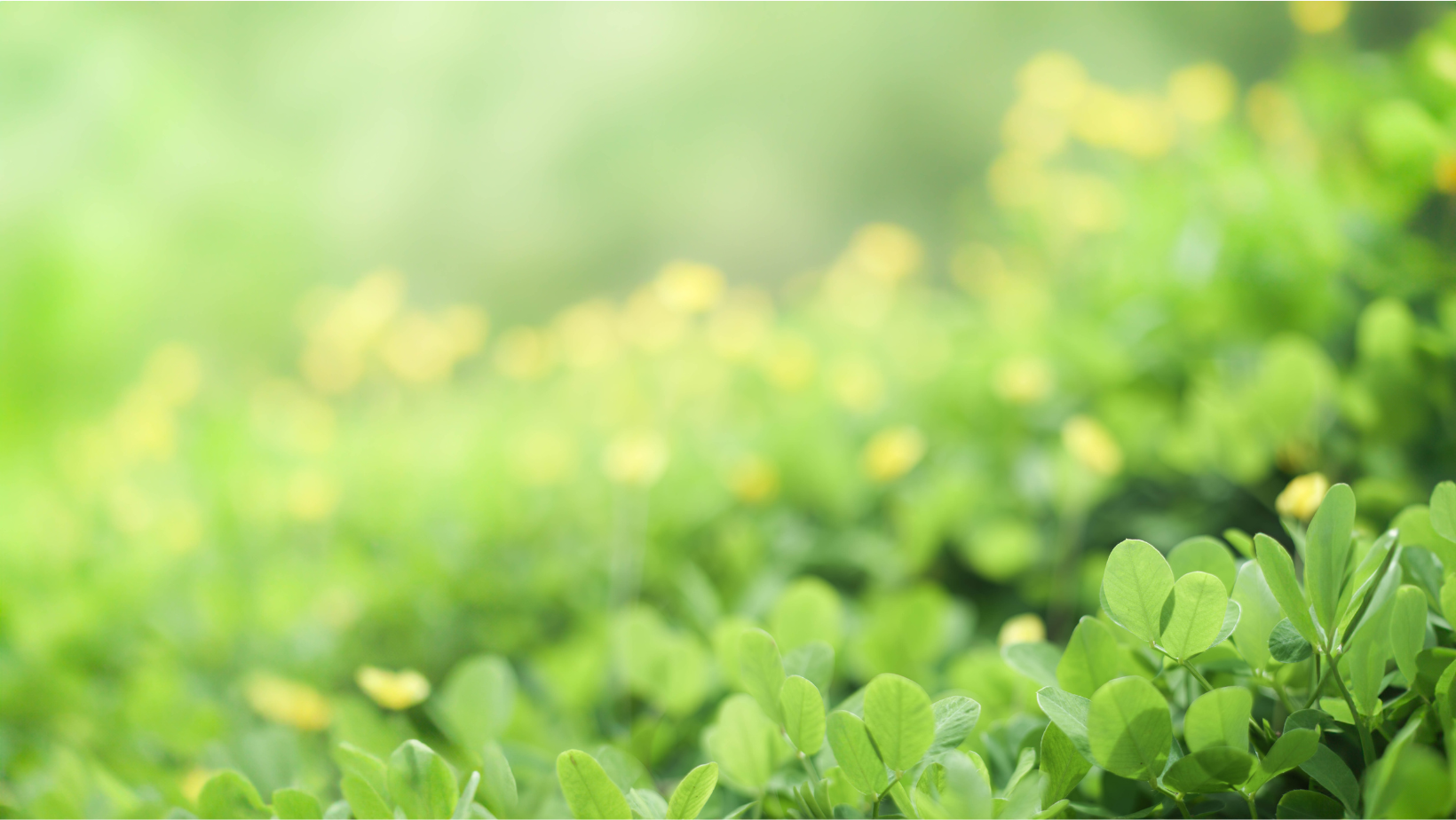 GlobalData Highlights Growing Importance of ESG and CSR Reporting for Corporate Accountability