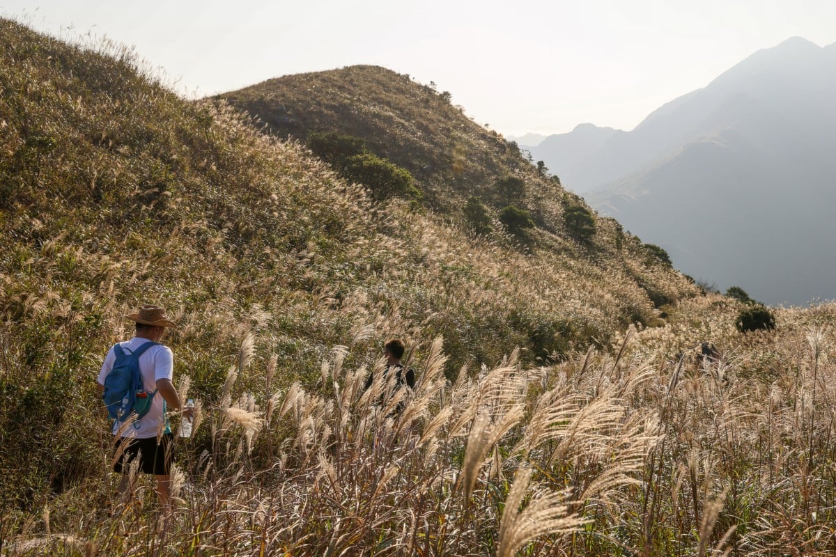 Hong Kong Businesses Integrate Biodiversity into Sustainability Strategy Amid Global Push