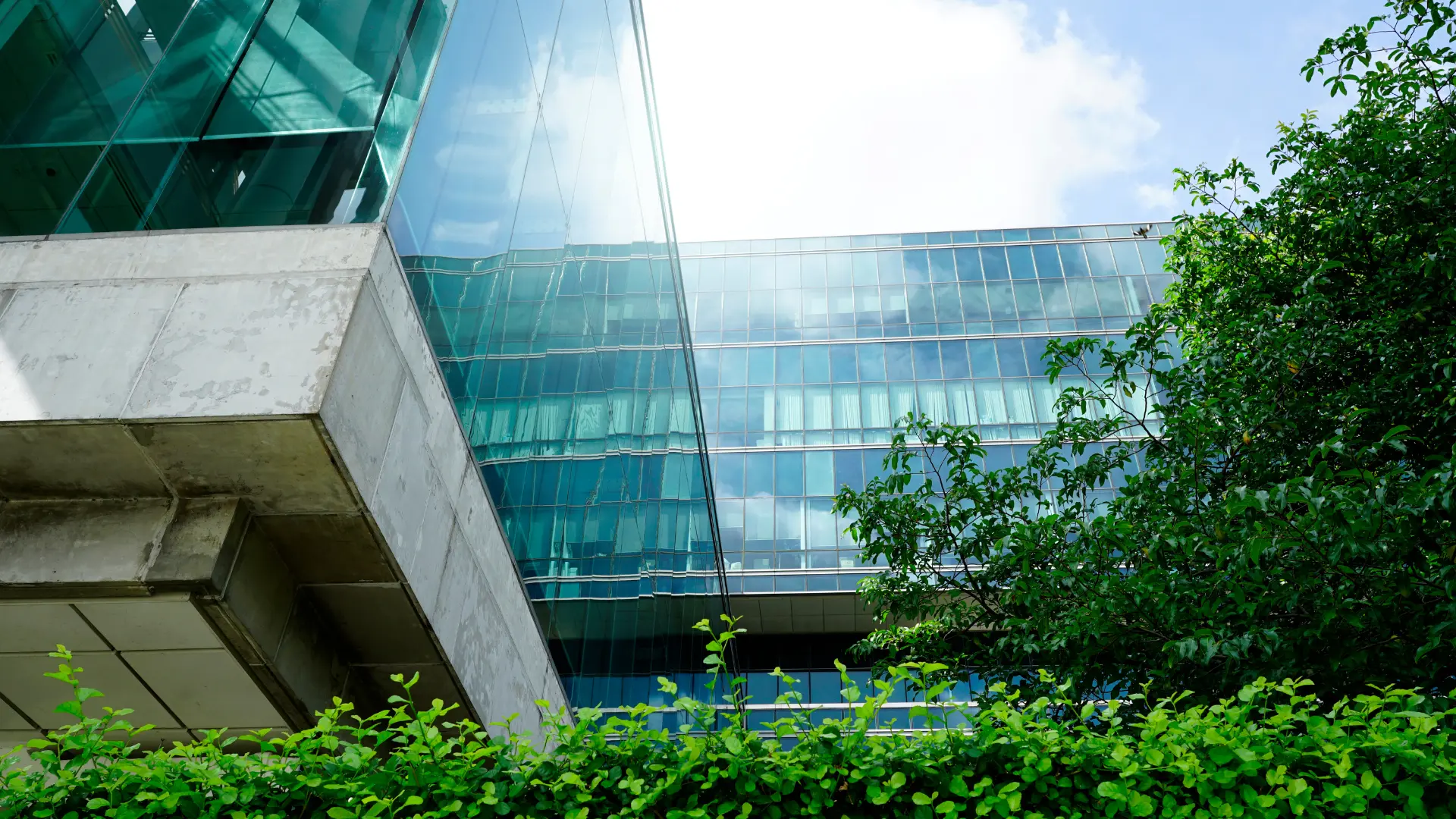 TCFD Transition Risk: What To Know And How To Mitigate It