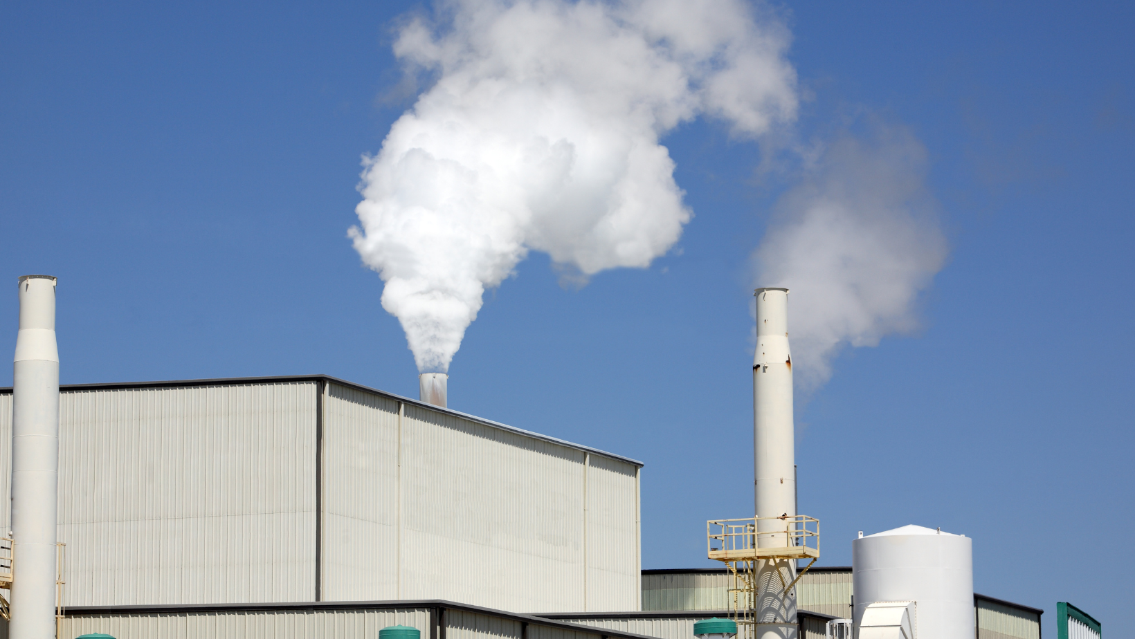 Carbon Credits Explained in Markets and ESG Reporting