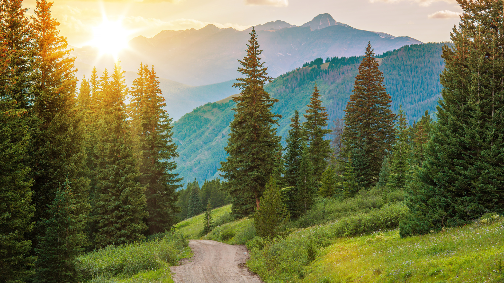 GRI Launches GRI-ESRS Linkage Service to Streamline ESG Reporting