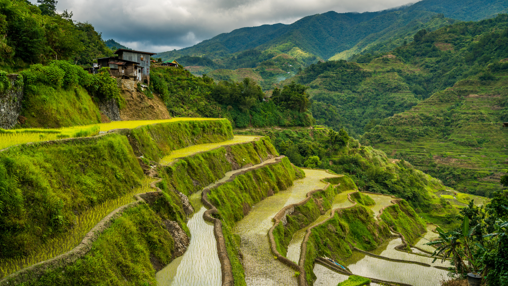 GRI and Philippines DTI Collaborate to Boost MSME Sustainability Practices