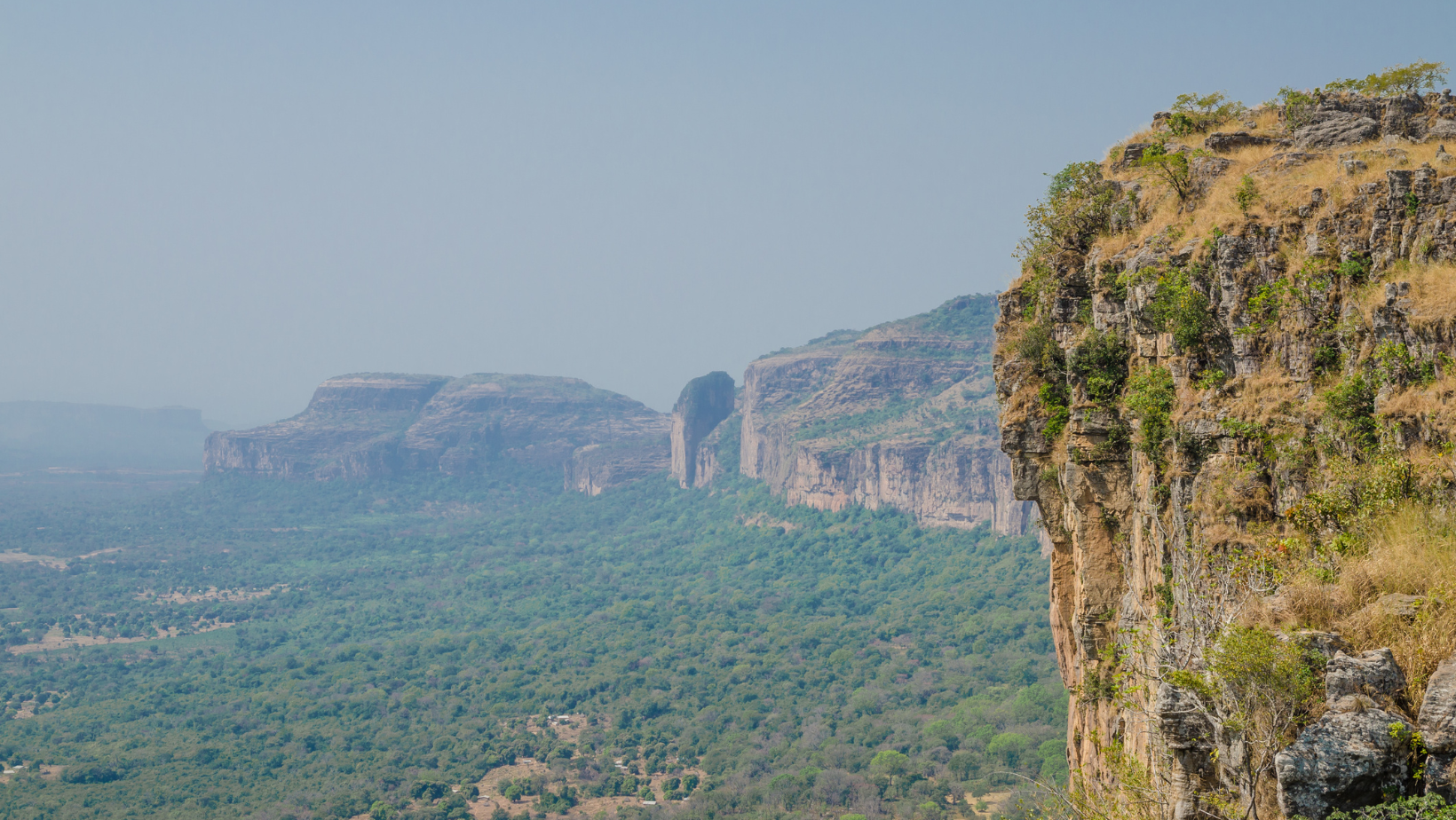 West African Nations Push for Carbon Offsetting to Boost Climate Finance