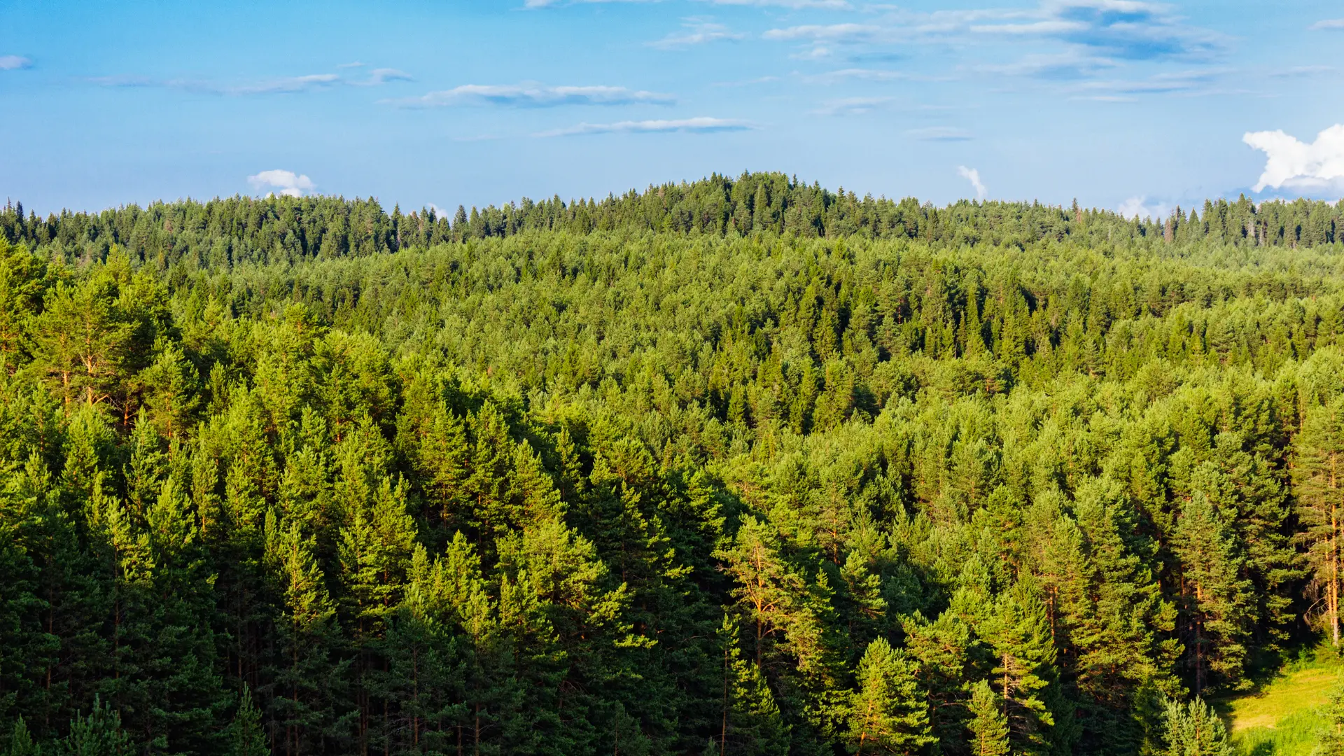 TNFD's LEAP: Approach for Nature-Related Financial Disclosures