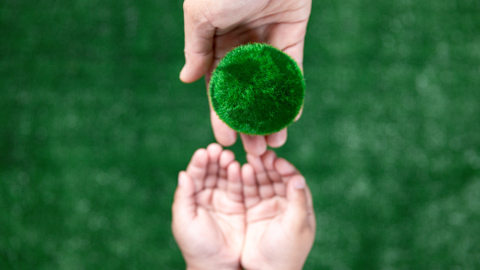 Declining Focus on ESG Among Corporate Boards, PwC Survey Reveals