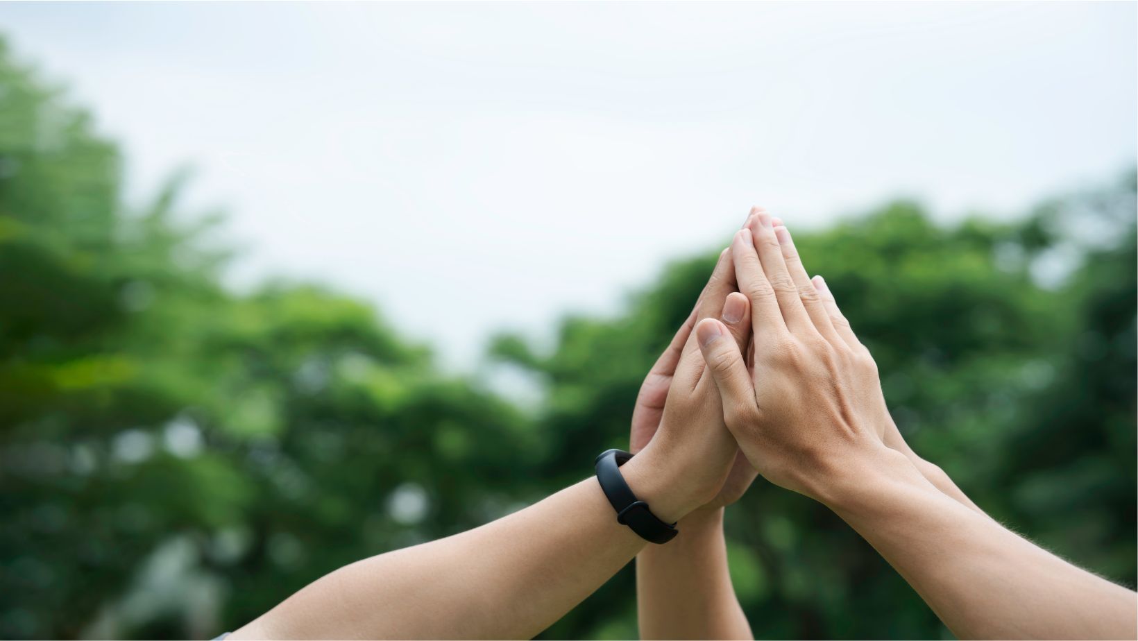 GRESB vs. Other Benchmarks: A Guide for Real Estate & Infrastructure