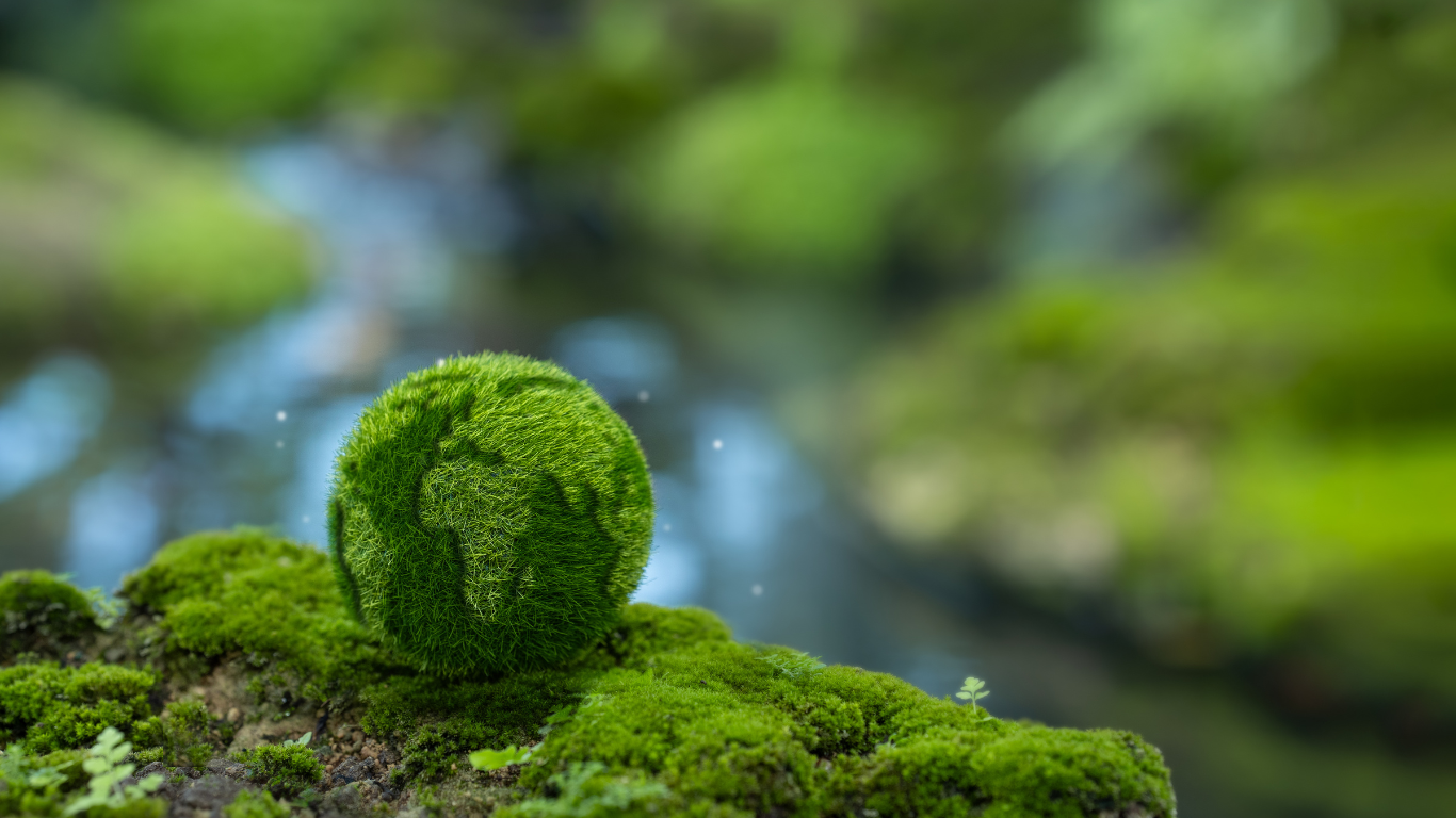 Private Sector Driving ESG and Carbon Neutral Strategies in Africa