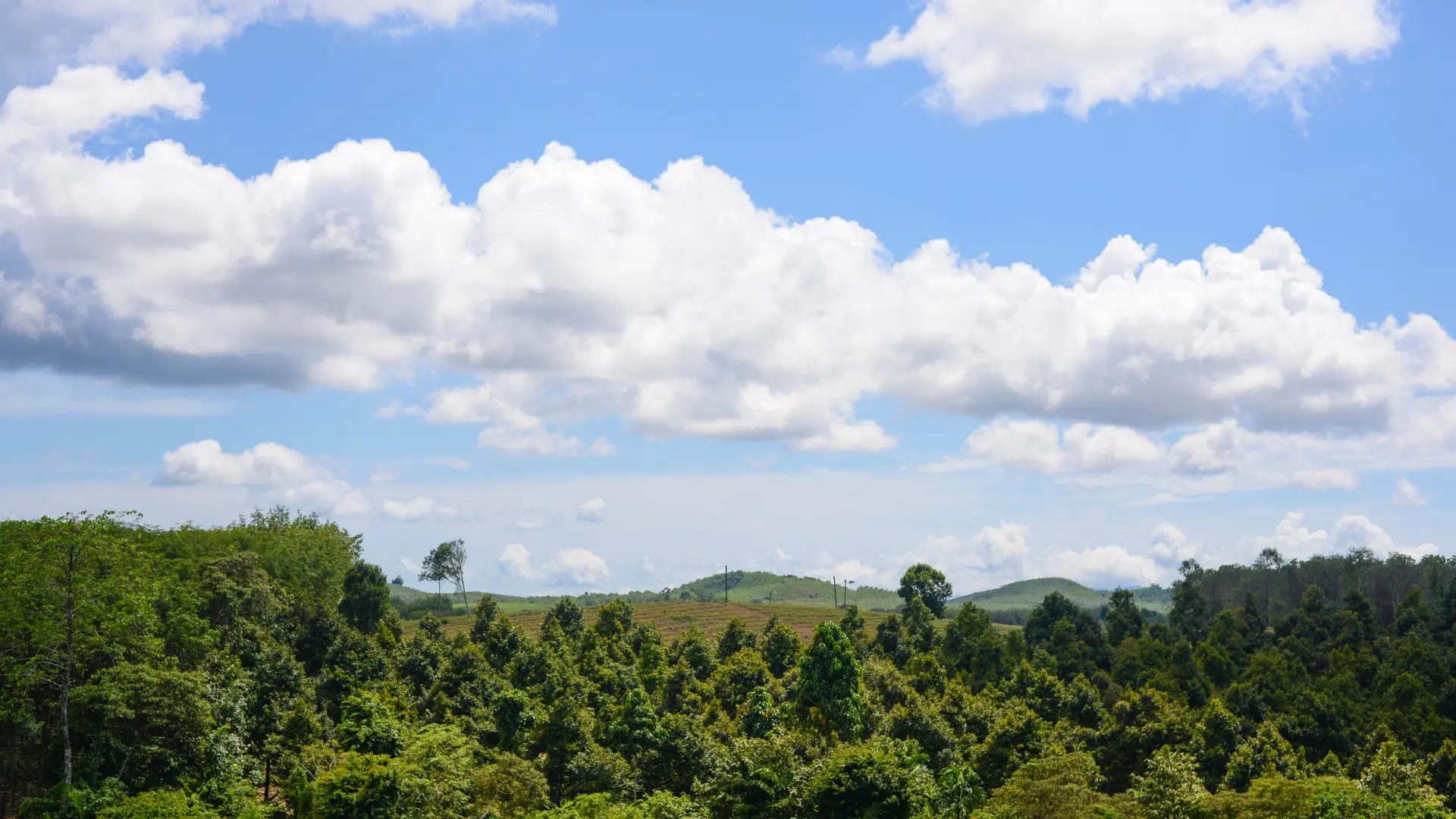 Exploring Different Carbon Accounting Methodologies