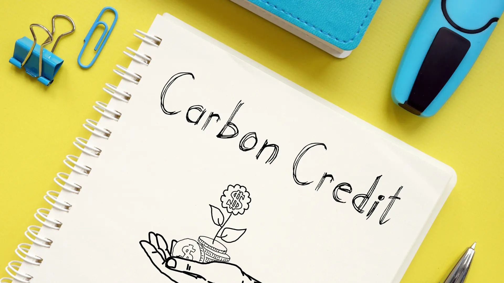 Carbon Credits: What are They and How They Work