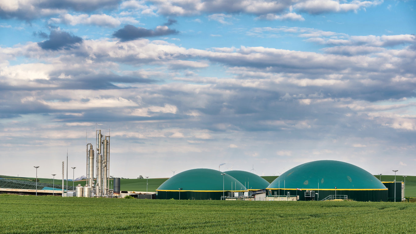 Finland Leads in Bioenergy Innovation Boosting Forest Products Industry