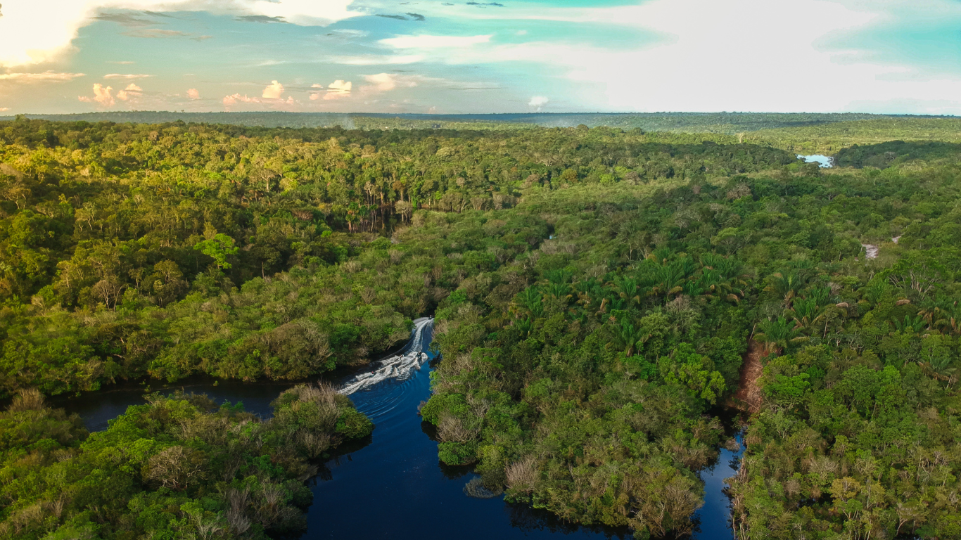 Insights into the Evolving Climate Insights and Biodiversity Reporting Standards