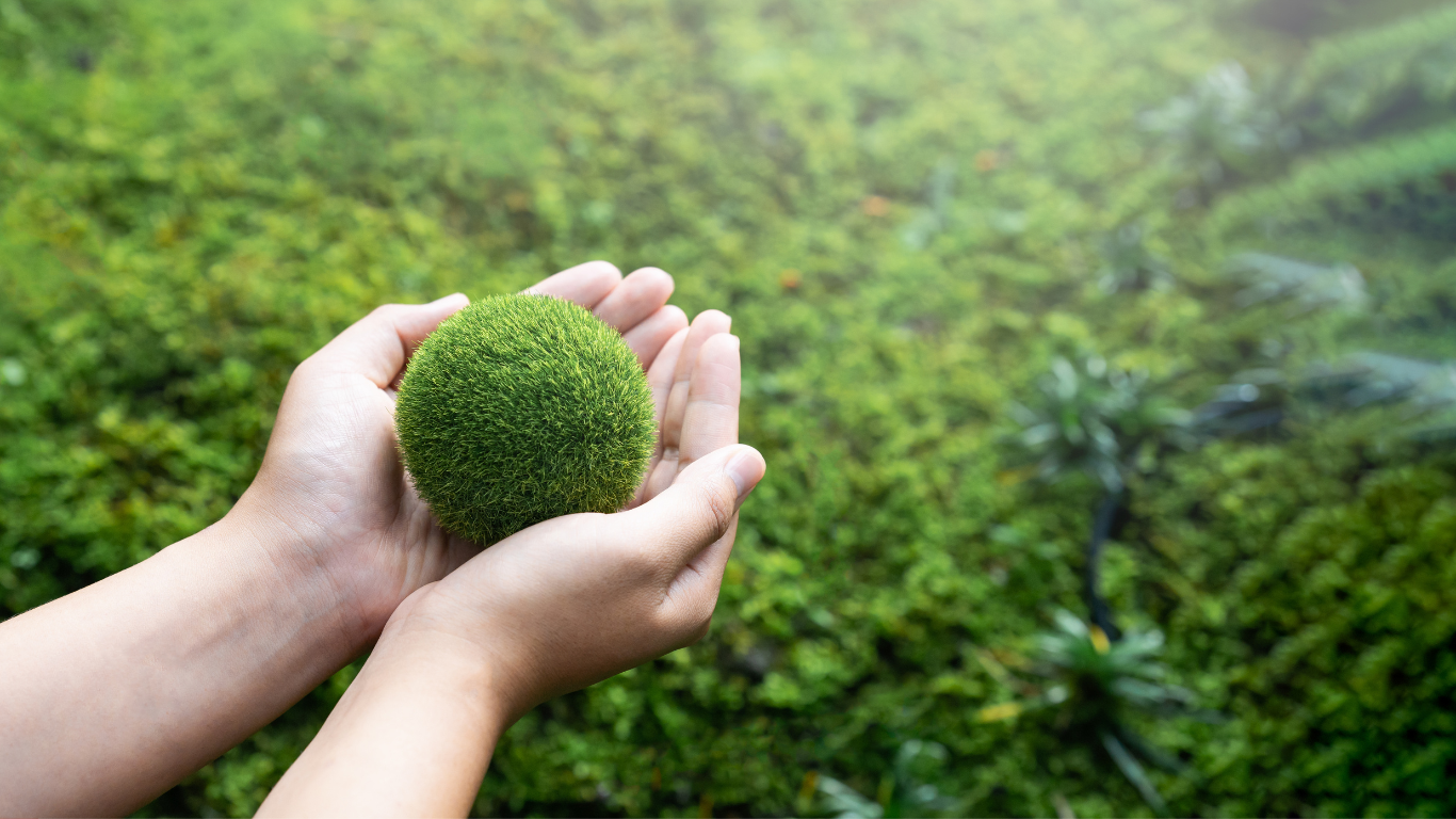 EU Companies Struggle with ESG and Carbon Neutral Strategy Reporting