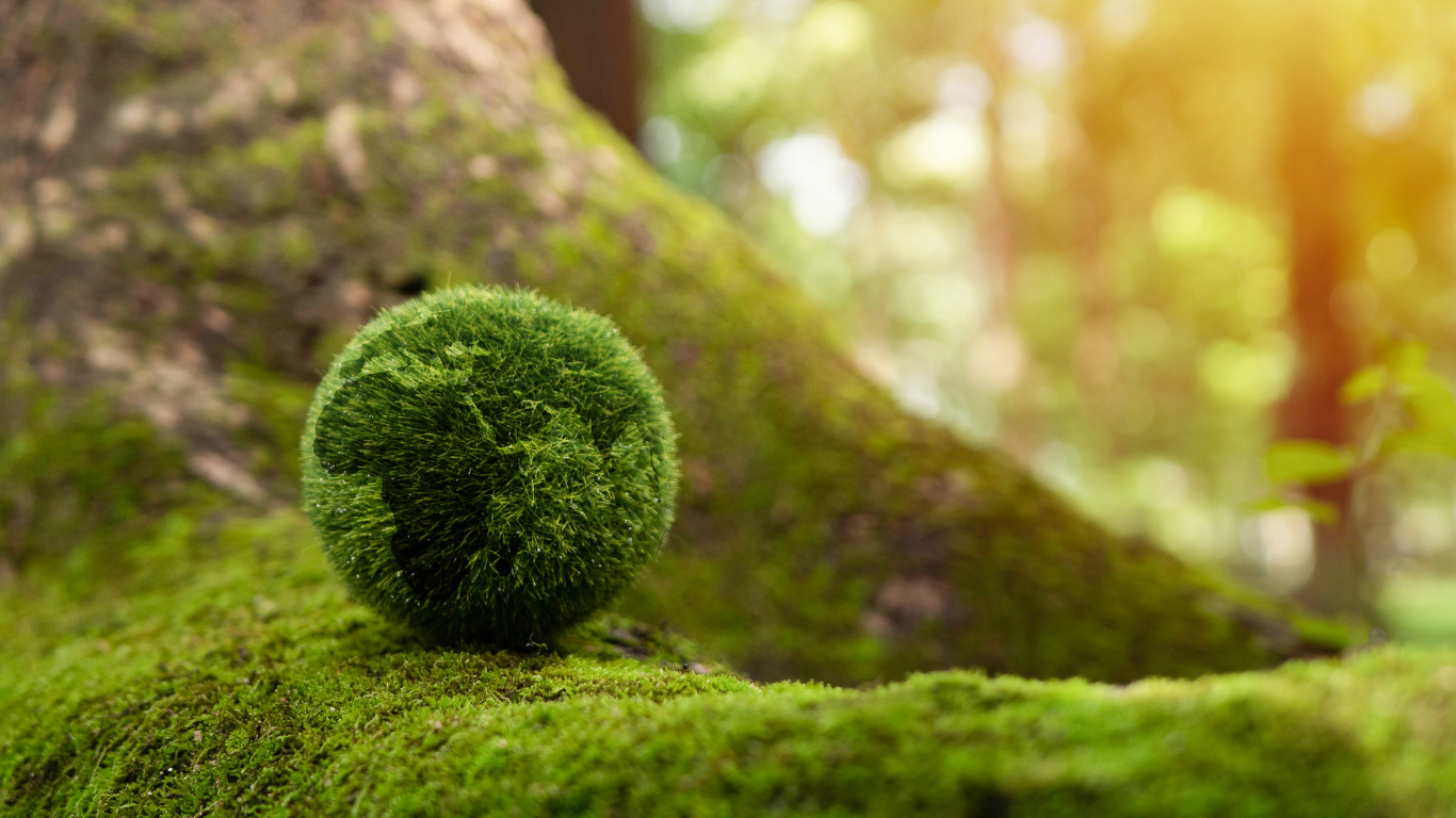 ESA Report Suggests Stronger PAI Disclosures for Advancing Carbon-Neutral Goals