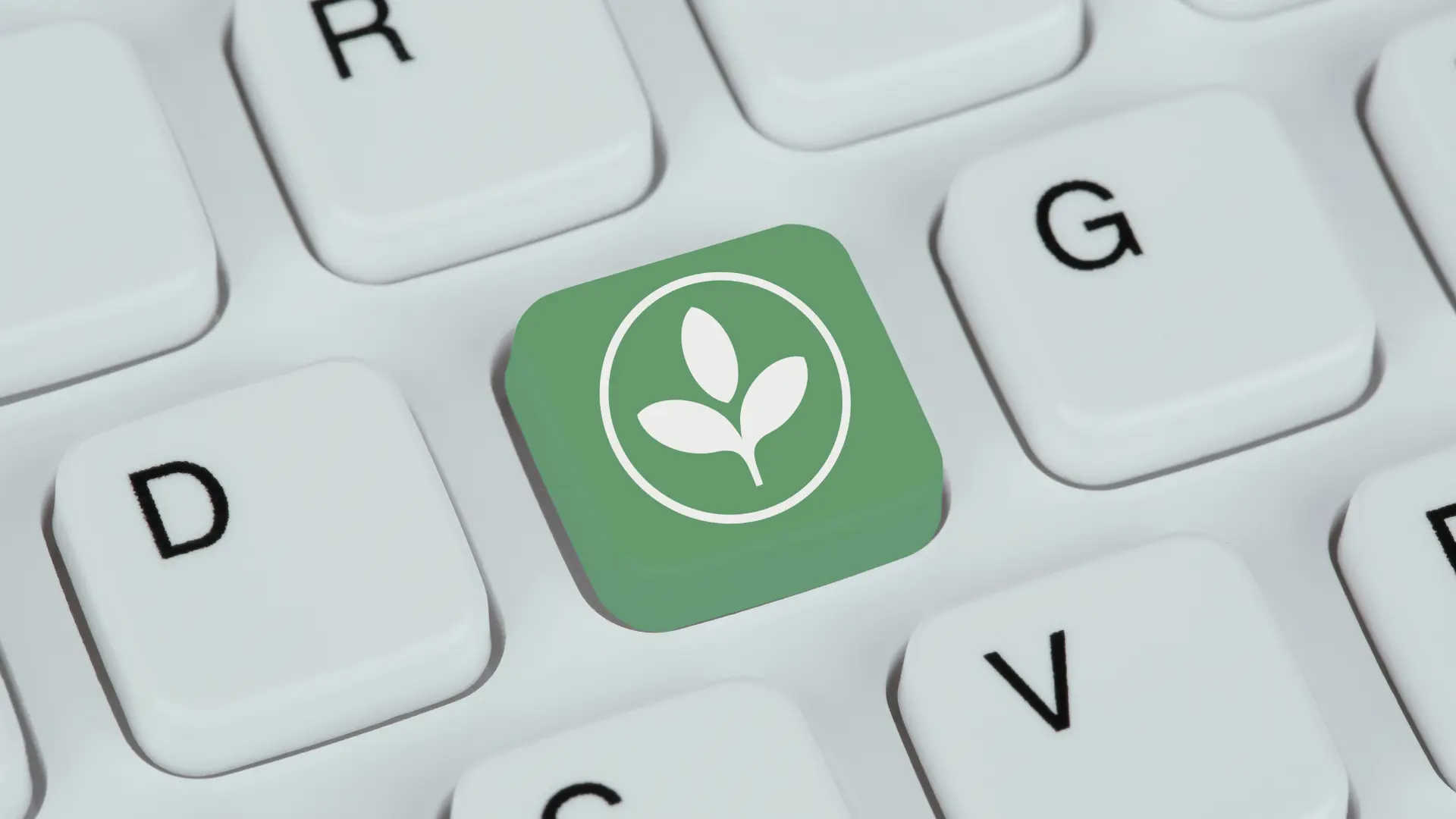 Utilizing AI in CSRD Compliance to Simplify Processes