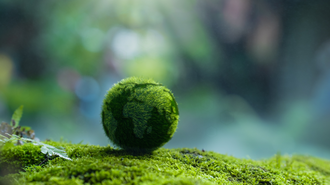 EU Proposal Sparks Concerns Over ESG and Carbon Neutral Strategy Deregulation