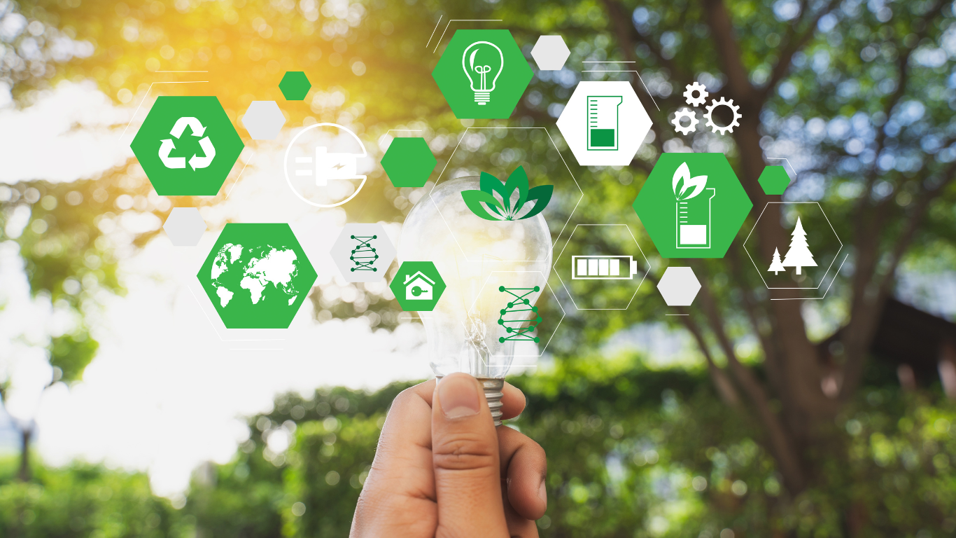 North American Groups Push Japanese Banks on Biomass Sustainability