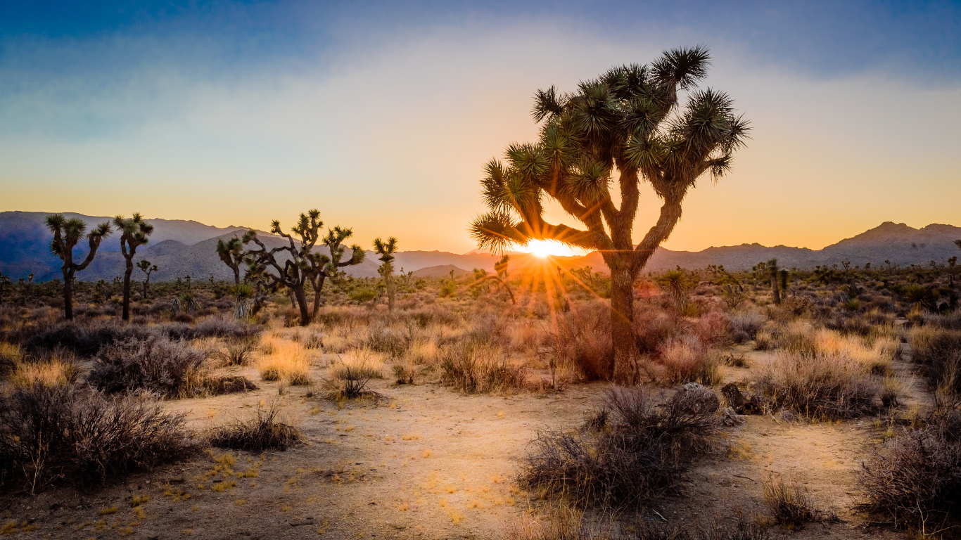 California Enhances ESG and Carbon Neutral Strategy Requirements with SB 219