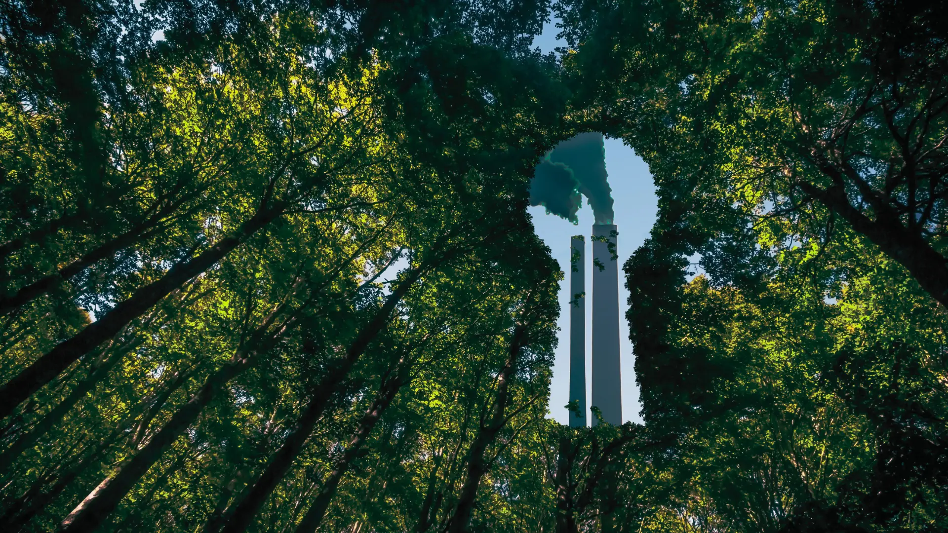 Understanding Greenwashing, Greenhushing, and Greenwishing: Key Differences