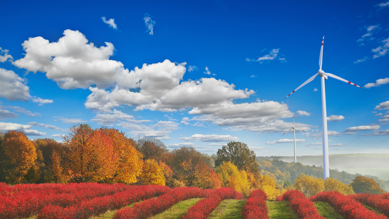 Germany, Taiwan Embrace Shared ESG Goals in Indo-Pacific