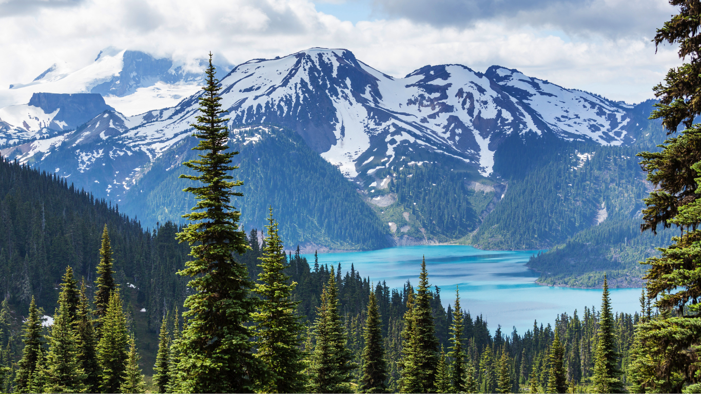 Canadian Investors Stay Committed to ESG Despite Challenges