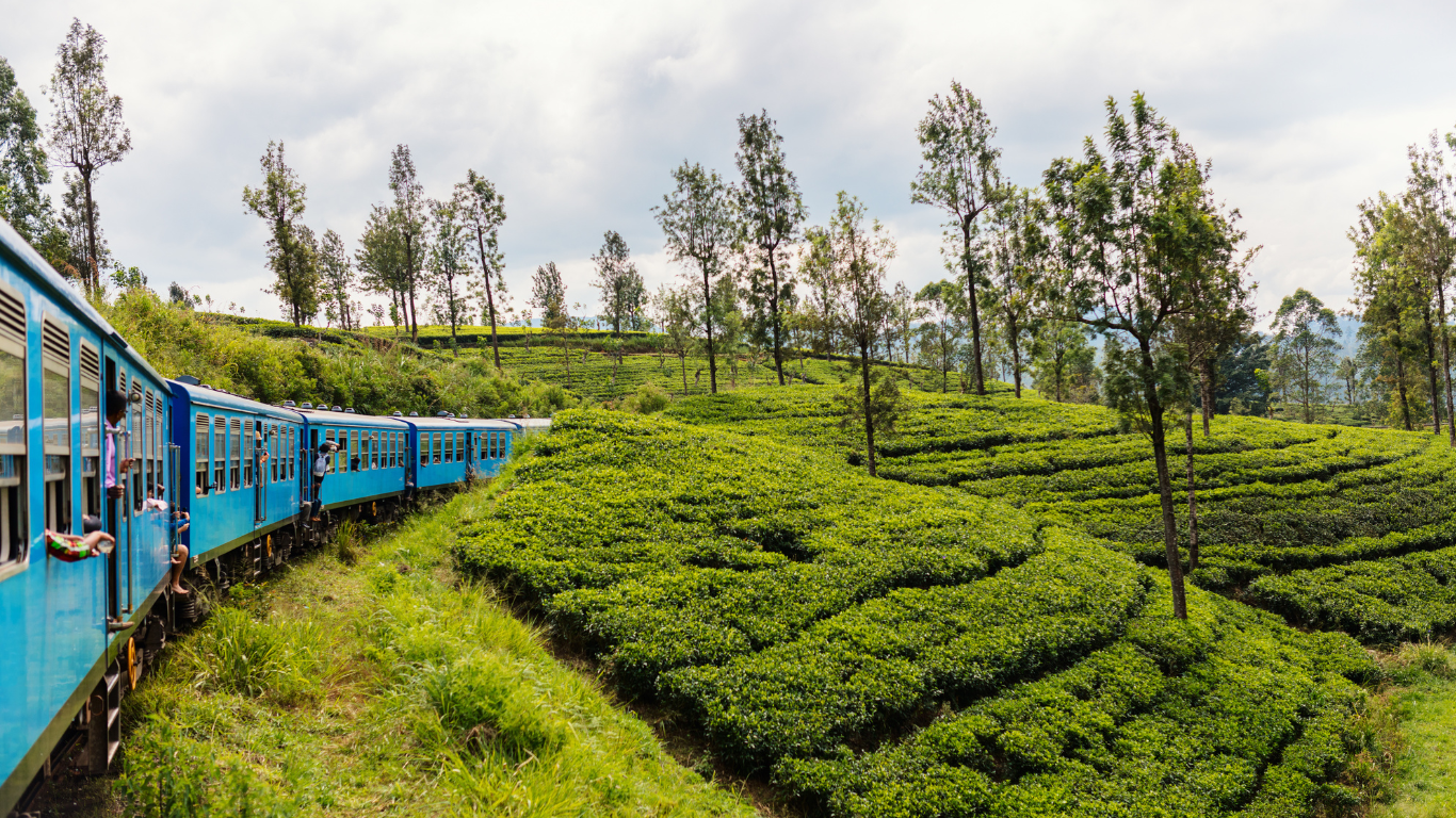 VDA Calls for Flexibility to Meet CO2 Fleet Targets