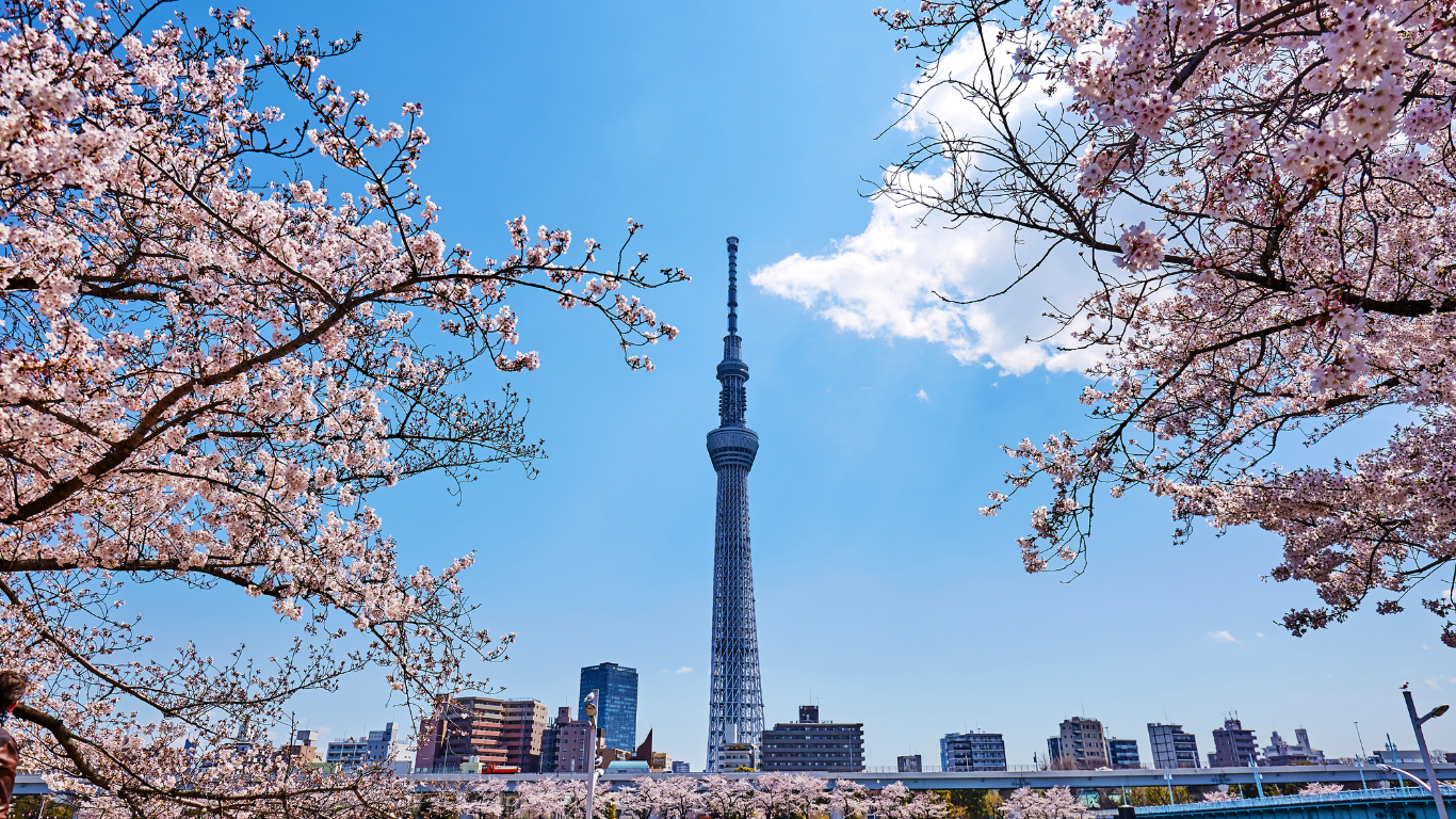 Tokyo Launches Carbon Credit Trading with Gold Standard to Advance Corporate Decarbonization
