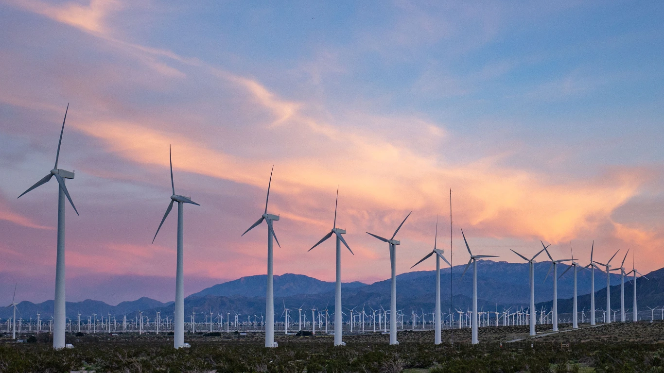 Carbon Neutral Strategy for Business: 2025 Sustainability Guide