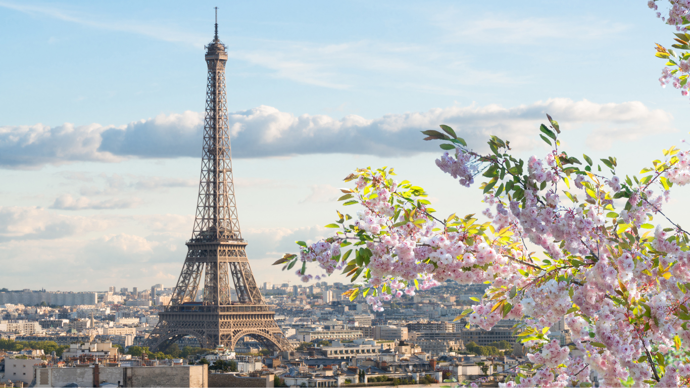 France Launches Corporate Charter for Paris-Aligned, High-Integrity Carbon Credit Use