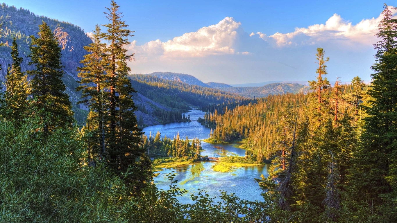 ESG and Financial Performance: Insights, Impact & Strategy 2025