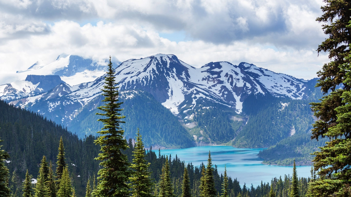 Canada Issues Final Guidelines on Environmental Claims to Enforce Greenwashing Rules