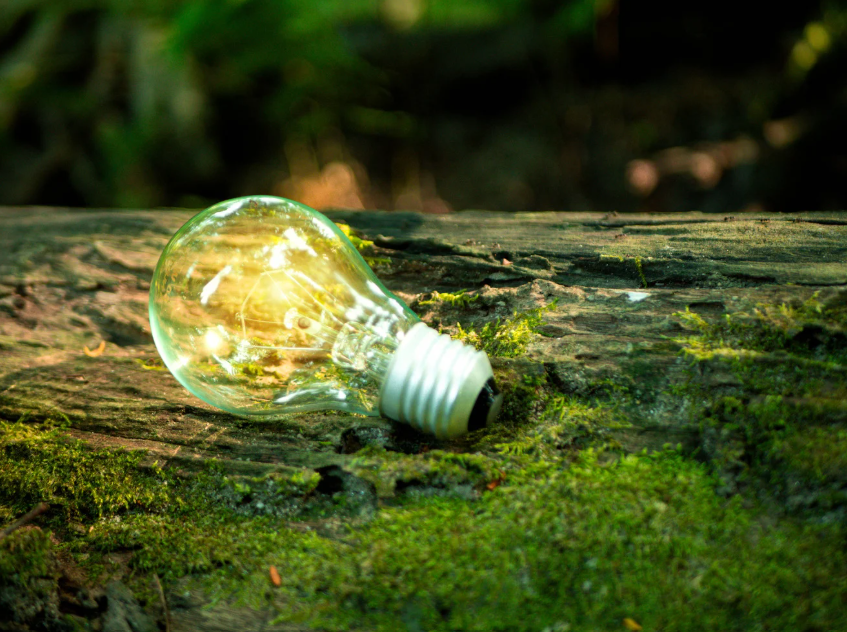 GRI Unveils New Climate and Nature Reporting Courses to Empower Sustainability Professionals