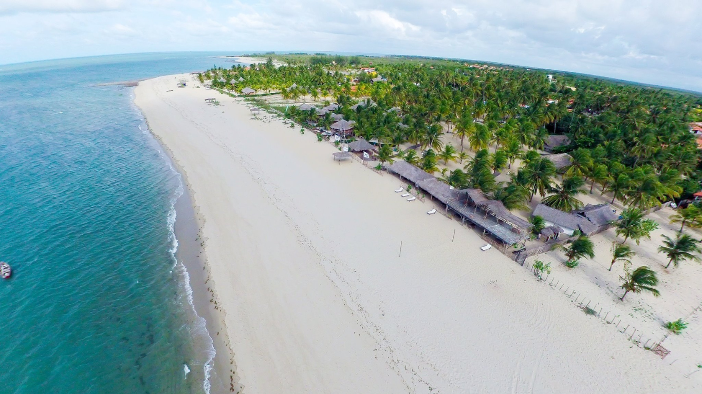 Piauí Launches Jurisdictional REDD+ Carbon Credit Program to Boost ESG Goals and Carbon Neutral Strategy